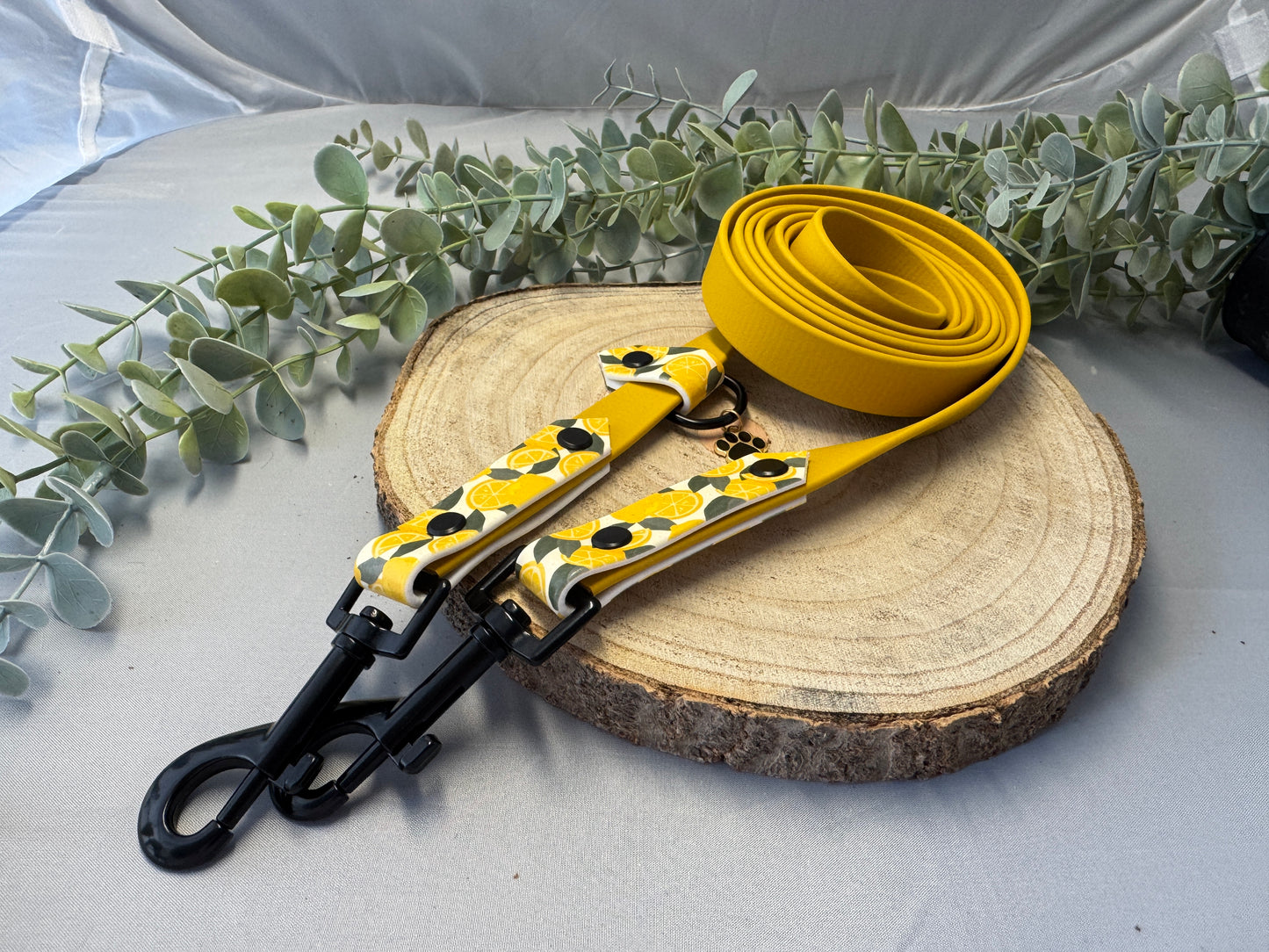 Biothane Leine „Citrus“