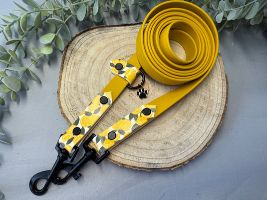 Biothane Leine „Citrus“