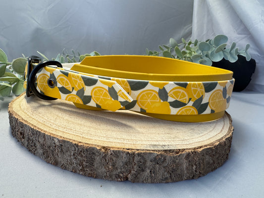 Biothane Halsband „Citrus“