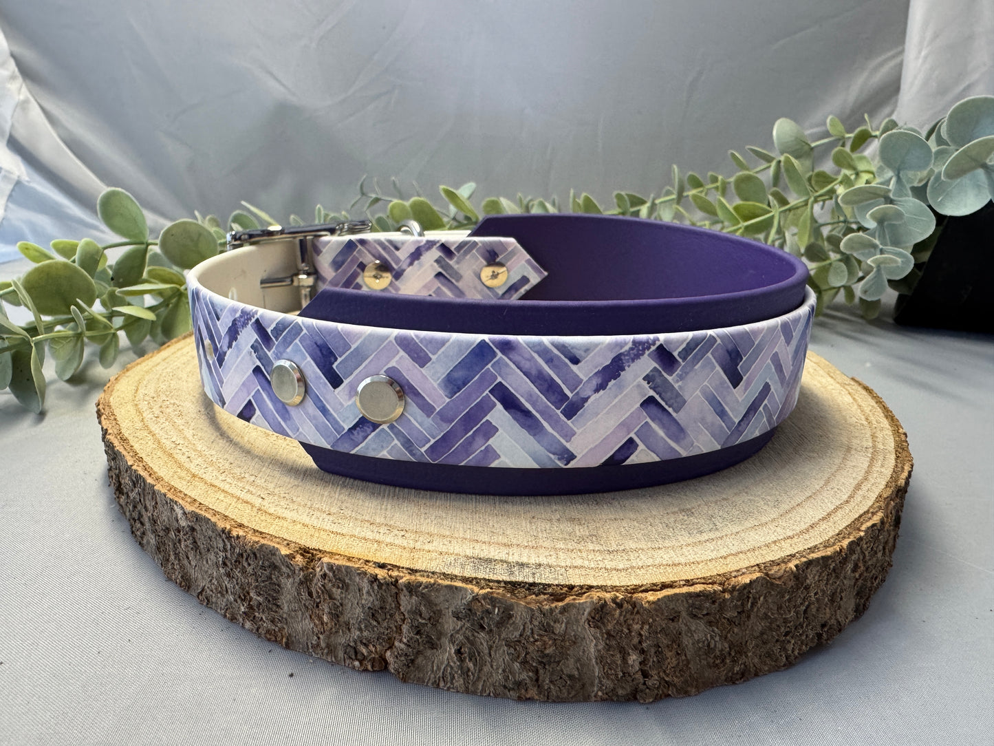 Biothane Halsband „Cosmo“