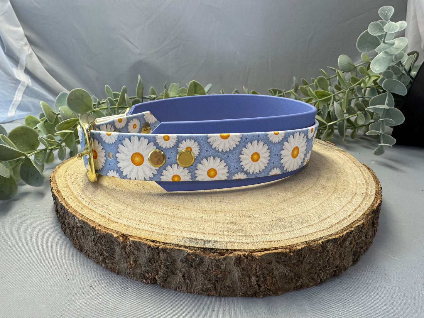 Biothane Halsband „Gänseblümchen“