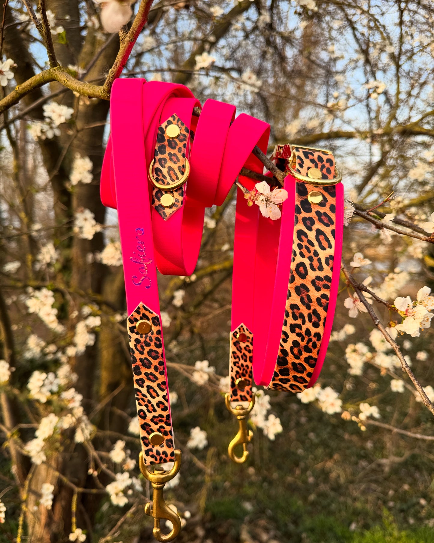 Biothane Halsband „Coco“