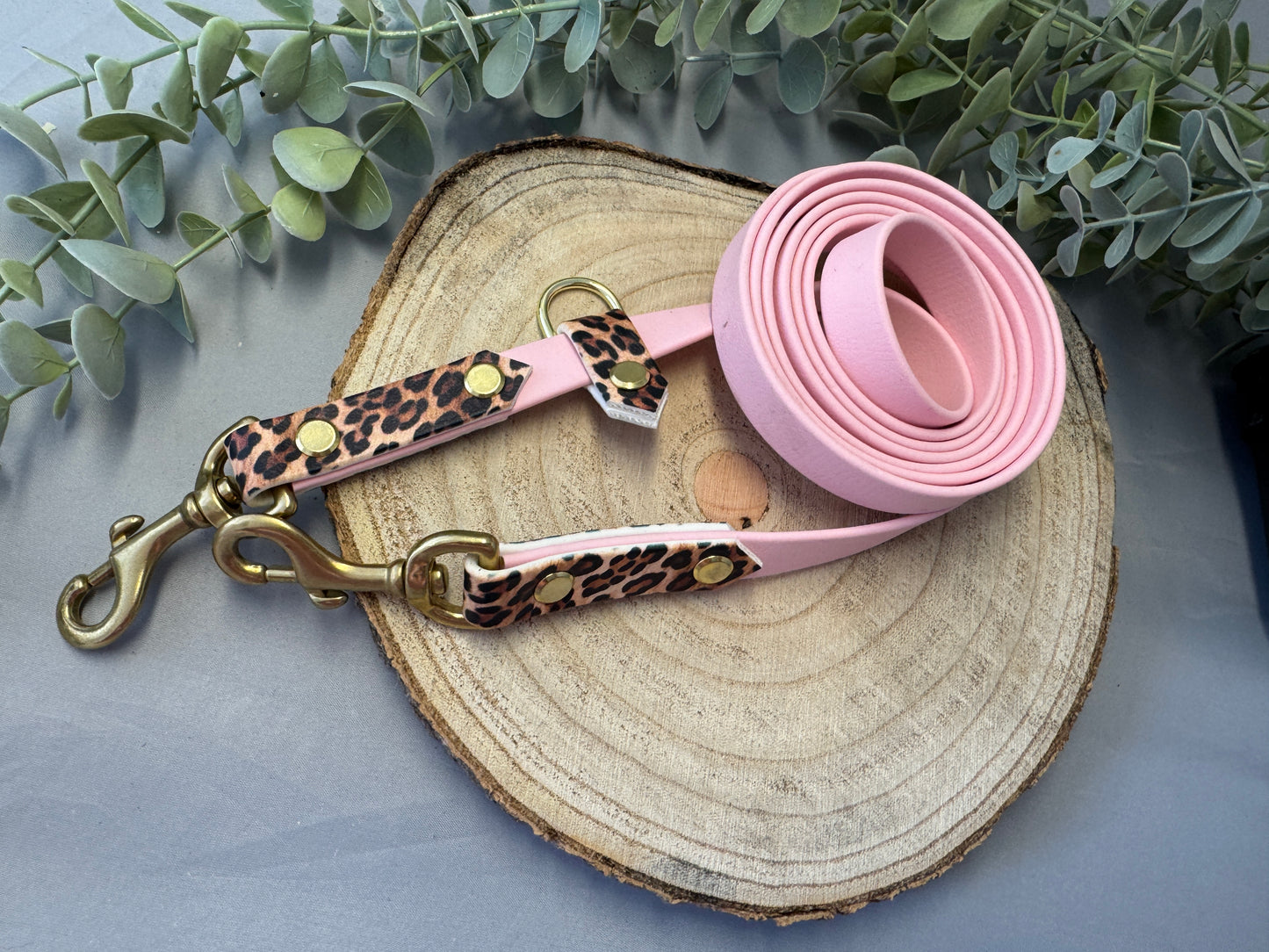 Biothane Leo Leine „Lilly“