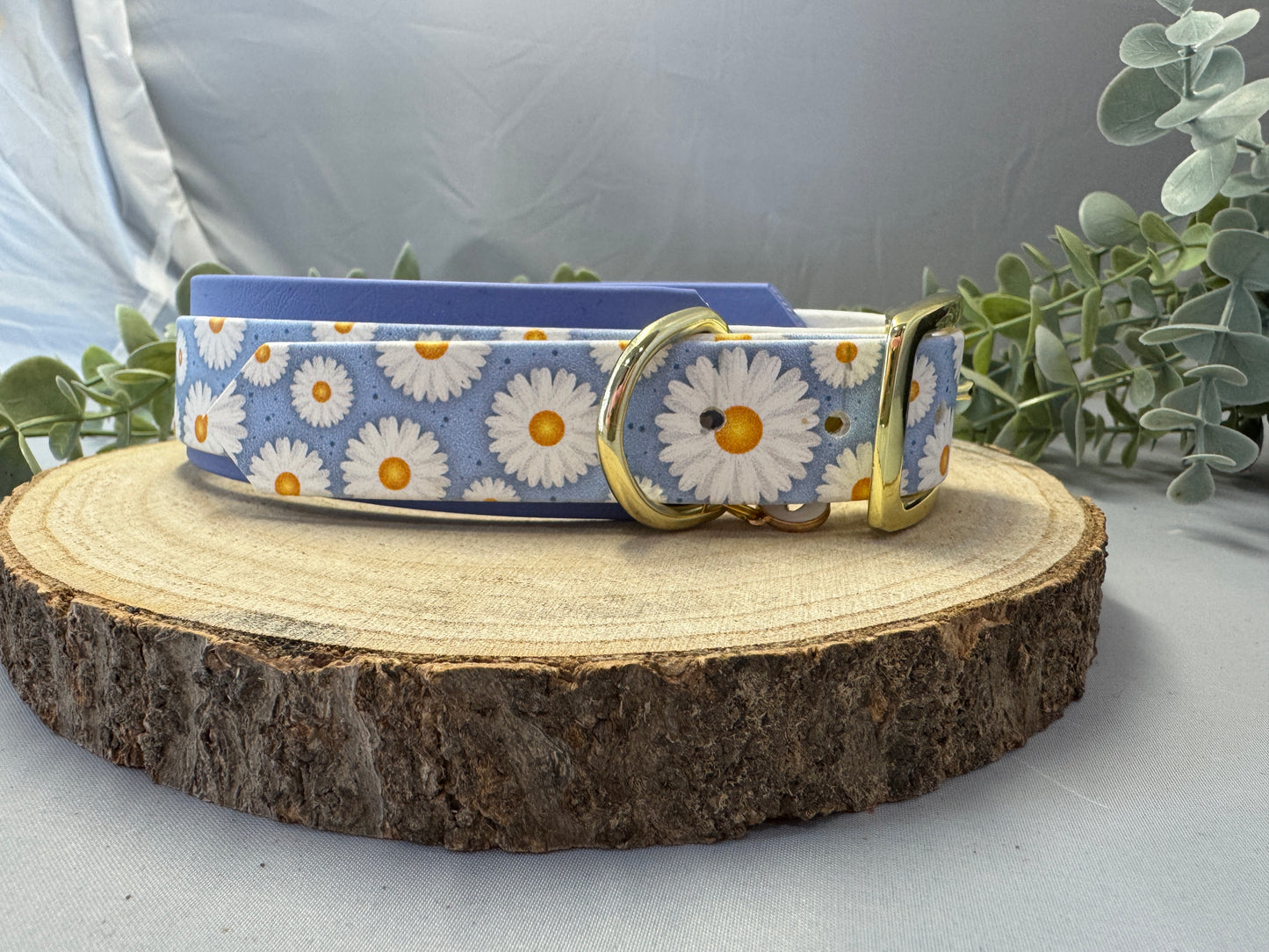 Biothane Halsband „Gänseblümchen“