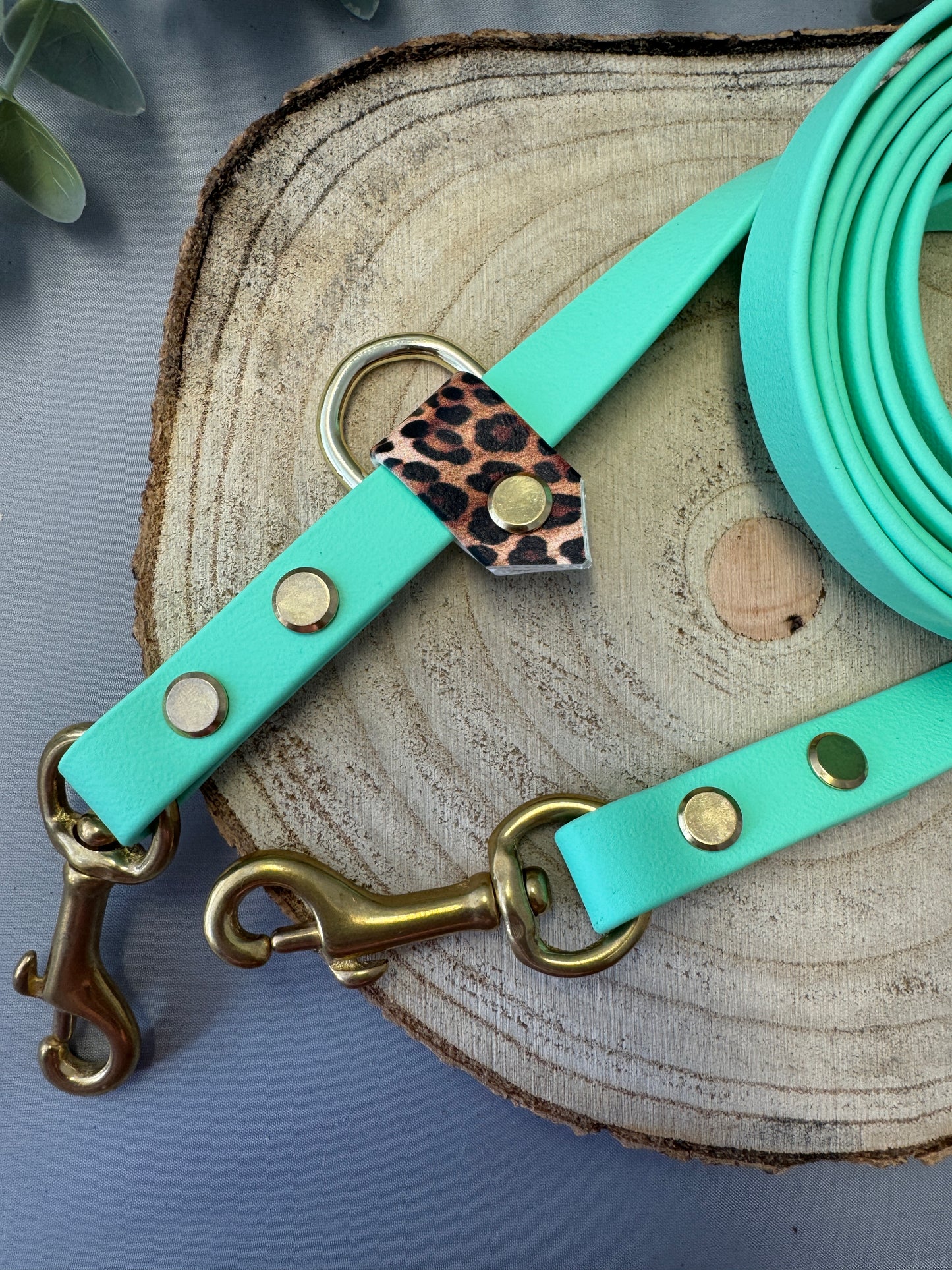 Biothane Leine „Caribbean Green“