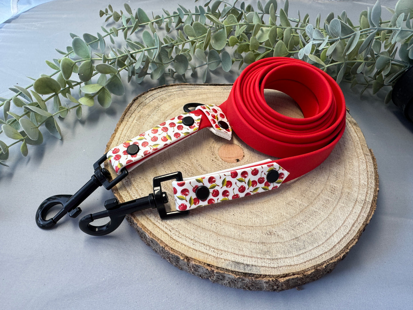 Biothane Leine „Cherry“