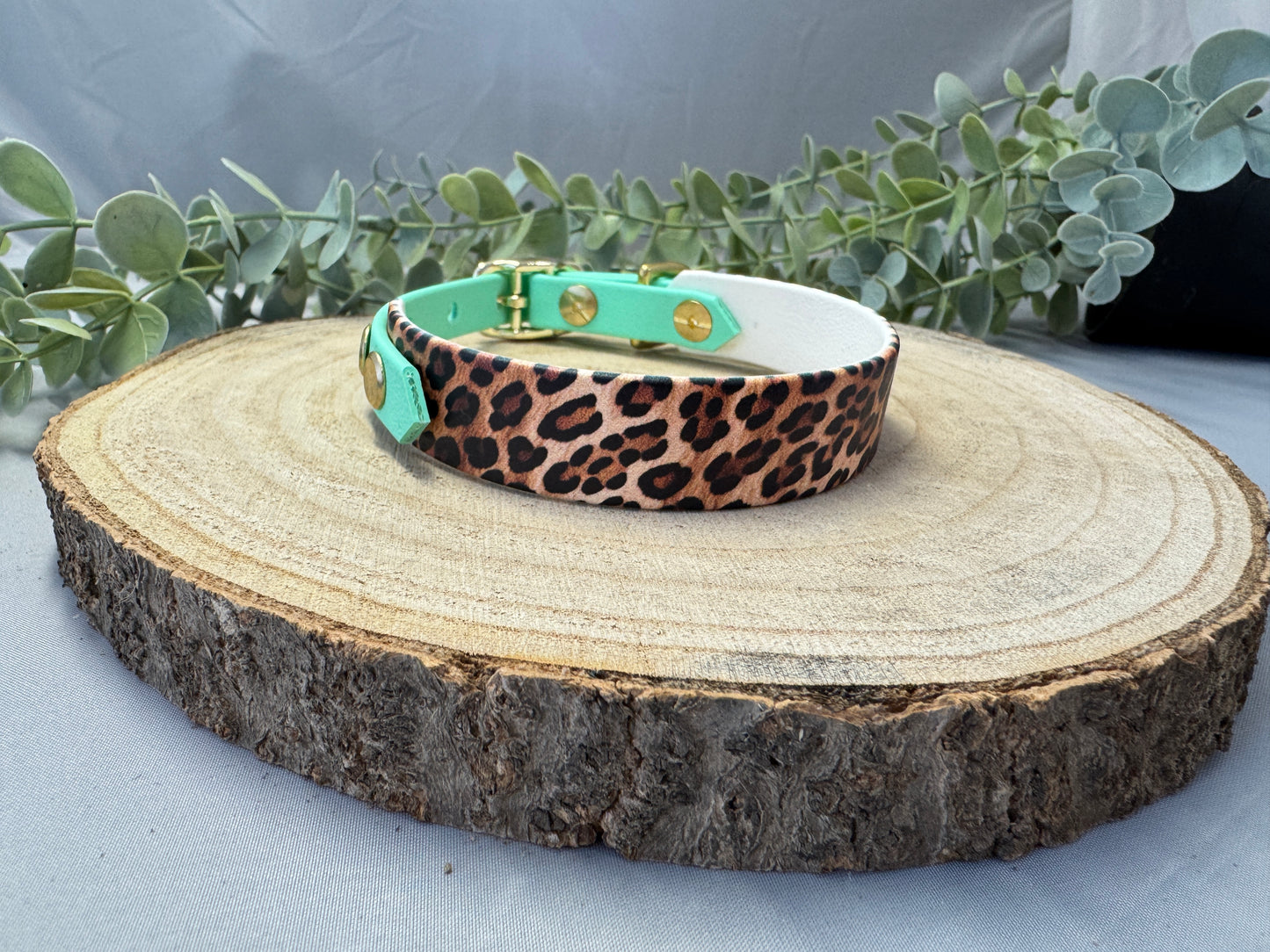 Biothane Halsband „Caribbean Green“